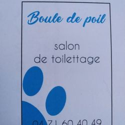 Logo Boule De Poil
