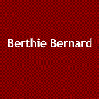 Logo Berthie Sommié SARL