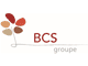 Logo B.C.S Conseils