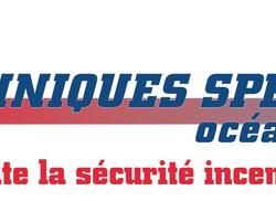 Logo Techniques Spéciales Océan Indien