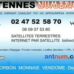 Logo Antenne Numérique Frelon37Stop