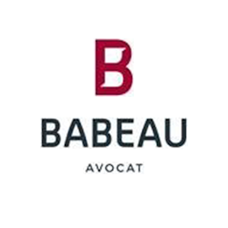 Logo Babeau Nicole