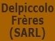 Logo Delpiccolo Patrice