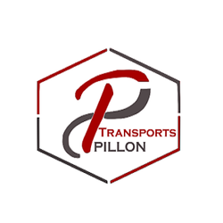 Logo David Pillon