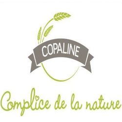 Logo Godin Frédéric