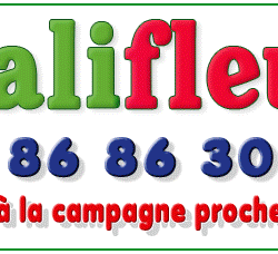 Logo Qualifleurs