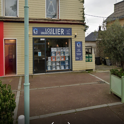 Logo Loslier Immobilier SASU