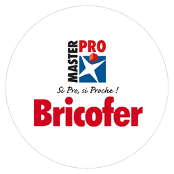 Logo Bricofer
