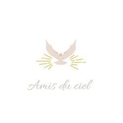 Logo Amis du Ciel