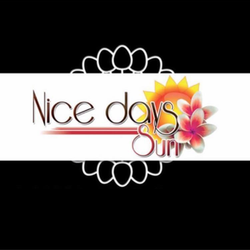 Logo Nice Days Sun
