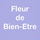 Logo Fleur de Bien-Etre