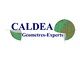 Logo CALDEA
