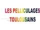 Logo LES PELLICULAGES TOULOUSAINS