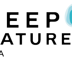 Logo Deep Nature siège
