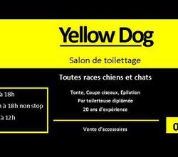 Logo Yellow Dog
