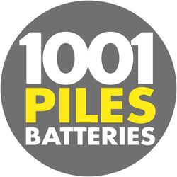 Logo Platimium Informatique 1001 Piles Batteries