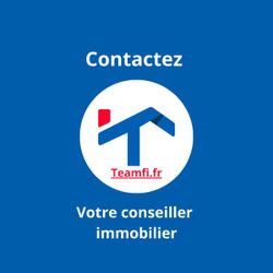 Logo TeamFi - Laurent TOUZET