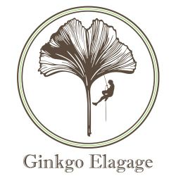 Logo Ginkgo Élagage