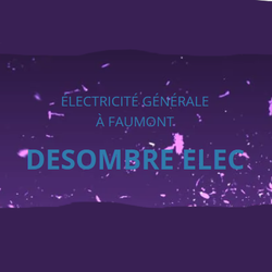 Logo Desombre Elec