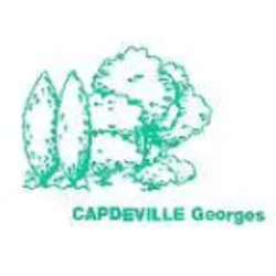 Logo Capdeville Georges SARL
