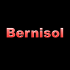 Logo Bernisol
