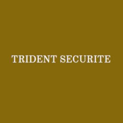 Logo Trident Securite
