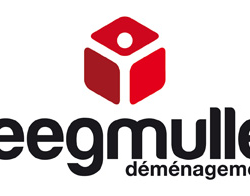 Logo Demeco Seegmuller Rhône Alpes Agent