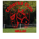 Logo Poney Club