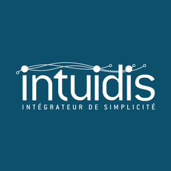 Logo Intuidis