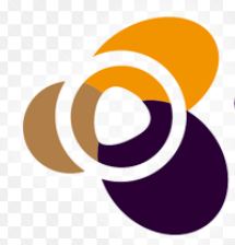 Logo Couleurs Bois