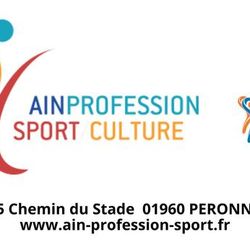 Logo Ain Profession Sport Et Culture