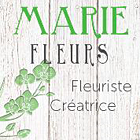 Logo Pougary Marie