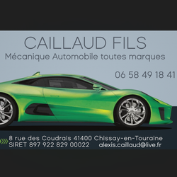 Logo Caillaud Fils