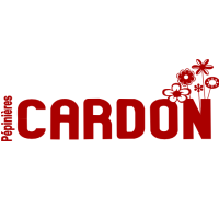 Logo Cardon Dominique