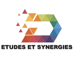 Logo Etudes et Synergies