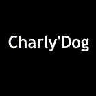 Logo Charly'Dog