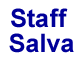 Logo Staff Salva Arcas