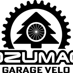 Logo Dzumac
