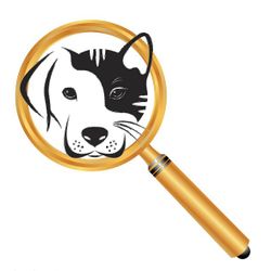 Logo Explor'Animal