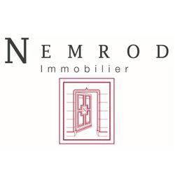 Logo NEMROD Immobilier