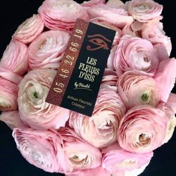 Logo Les Fleurs D'Isis by Rénald