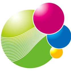 Logo FLASH IMPRESSION