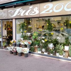 Logo Iris 2000