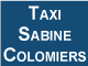 Logo Taxi Sabine Colomiers
