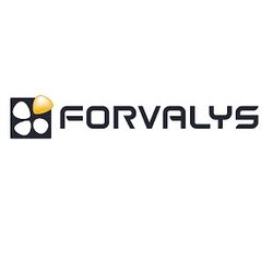 Logo Forvalys SARL