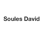 Logo Soules David