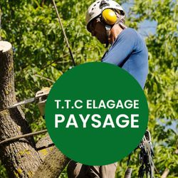 Logo TTC Jardinage