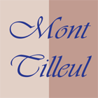 Logo Marbrerie du Mont Tilleul