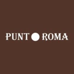 Logo Punt Roma France