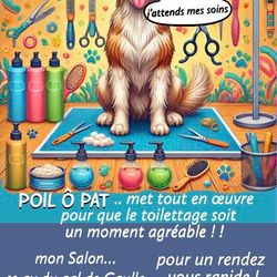 Logo Poil O Pat